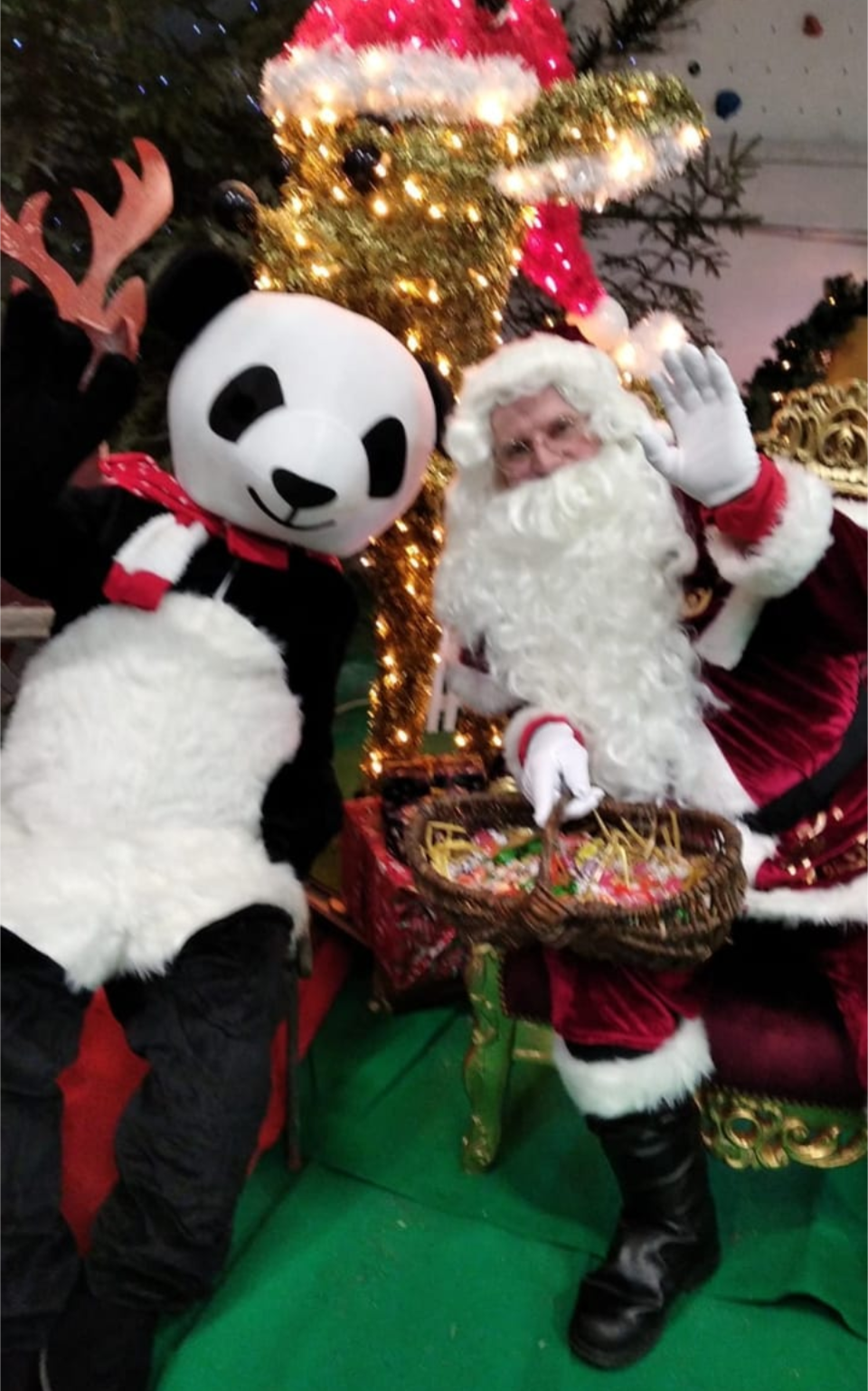 Mascotte Pandi le panda